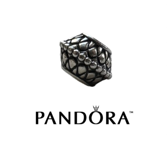 PANDORA CHARM | INNER STRENGTH COLLECTION | SILVER | MADE FOR PANDORA BRACELET - Picture 1 of 9